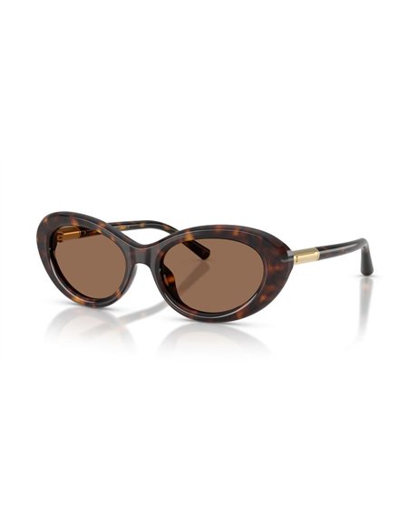 Dolce & Gabbana DG4519 502/73 54