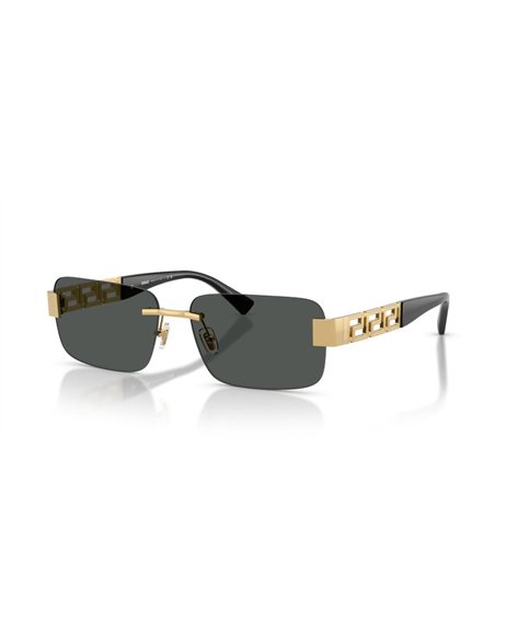 Versace VE2298 100287 58