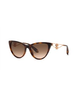 Roberto Cavalli SRC158M 9AJK 54