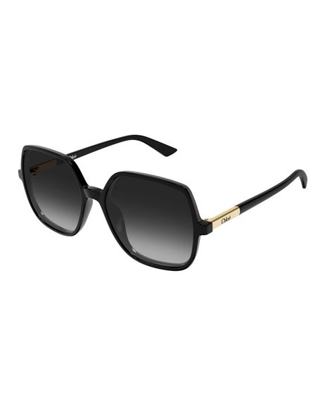 Chloé CH0362S 001 55