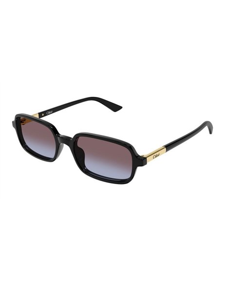 Chloé CH0363S 001 53