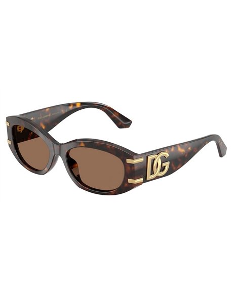 Dolce & Gabbana DG4502 502/73 55